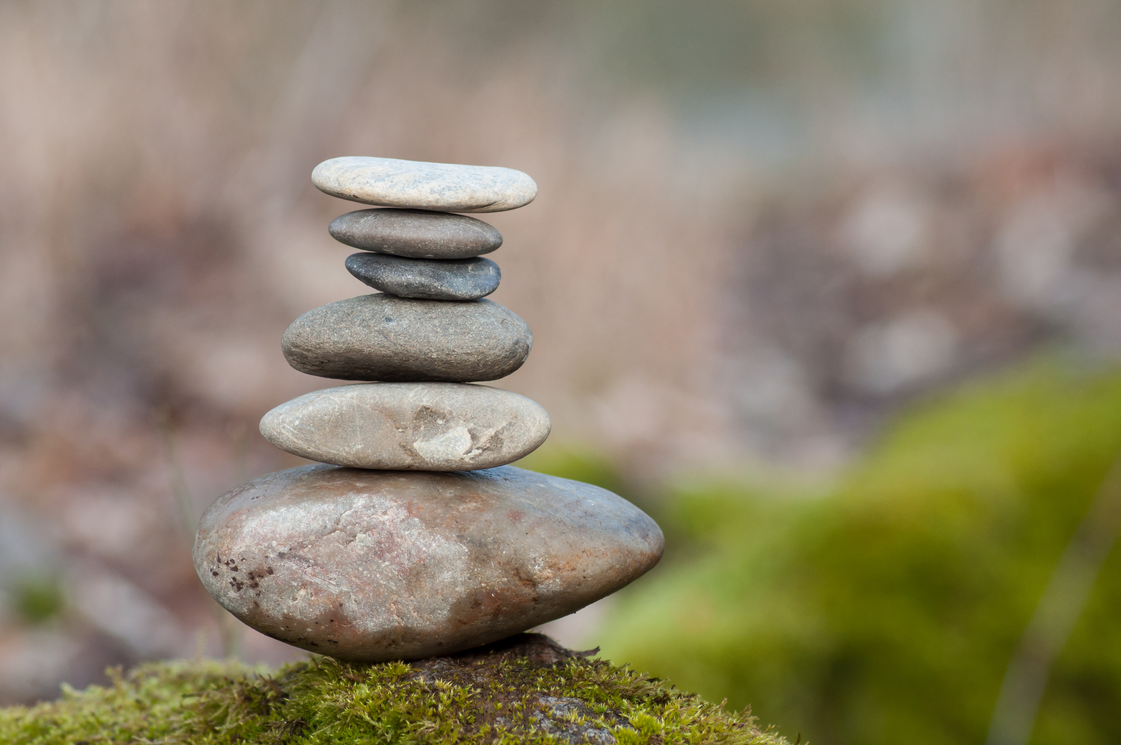 Stress en burn-out Stress en burn-out